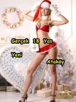 Nişantaşı Escort Bayanın Olağanüstü Sunumları ve Hizmetleri